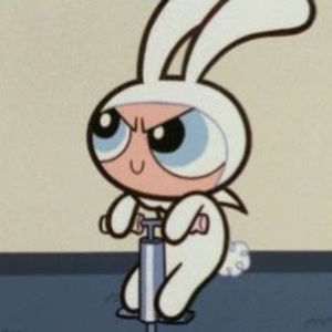 Meet your Posher, Temmi’s